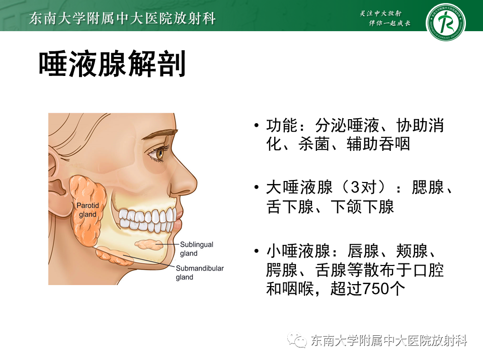 影像PPT - 【PPT】腮腺多形性腺瘤-5