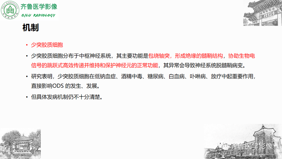 影像PPT - 【PPT】渗透性脱髓鞘综合征-15