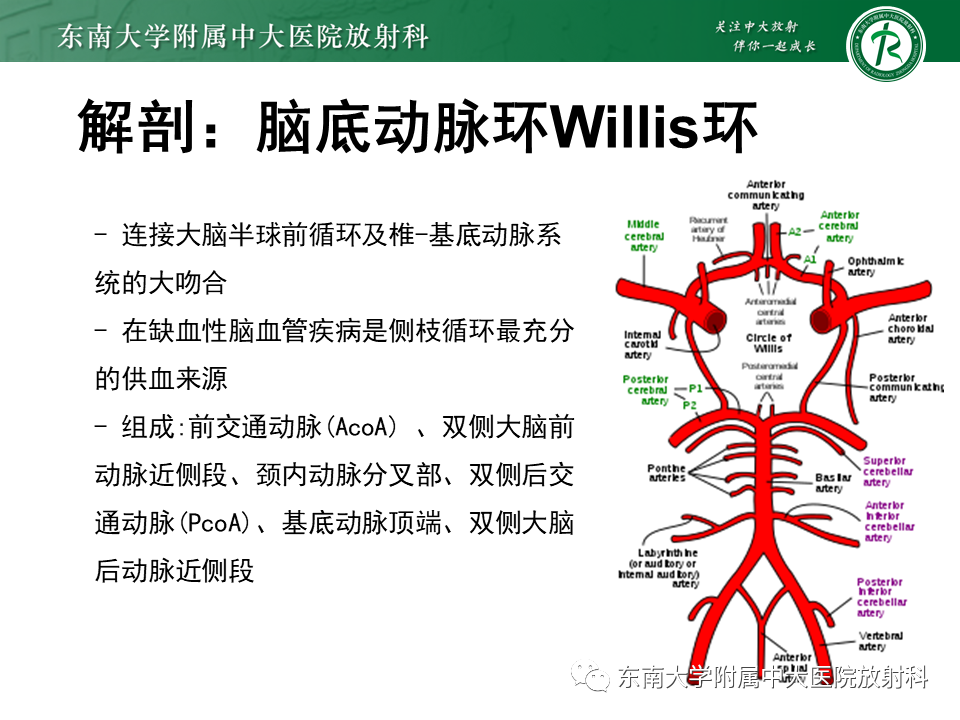 影像PPT - 【PPT】颅内动脉瘤-6