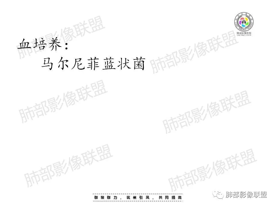 影像PPT - 【PPT】因“艾”而“生”—教你读懂马尔尼菲篮状菌-22 影像PPT - 【PPT】因“艾”而“生”—教你读懂马尔尼菲篮状菌-22