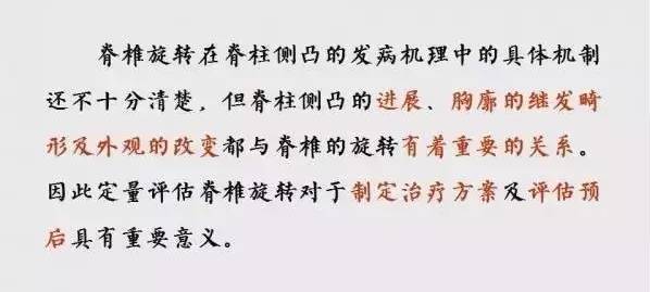 影像PPT - 【PPT】脊柱侧凸相关测量-17