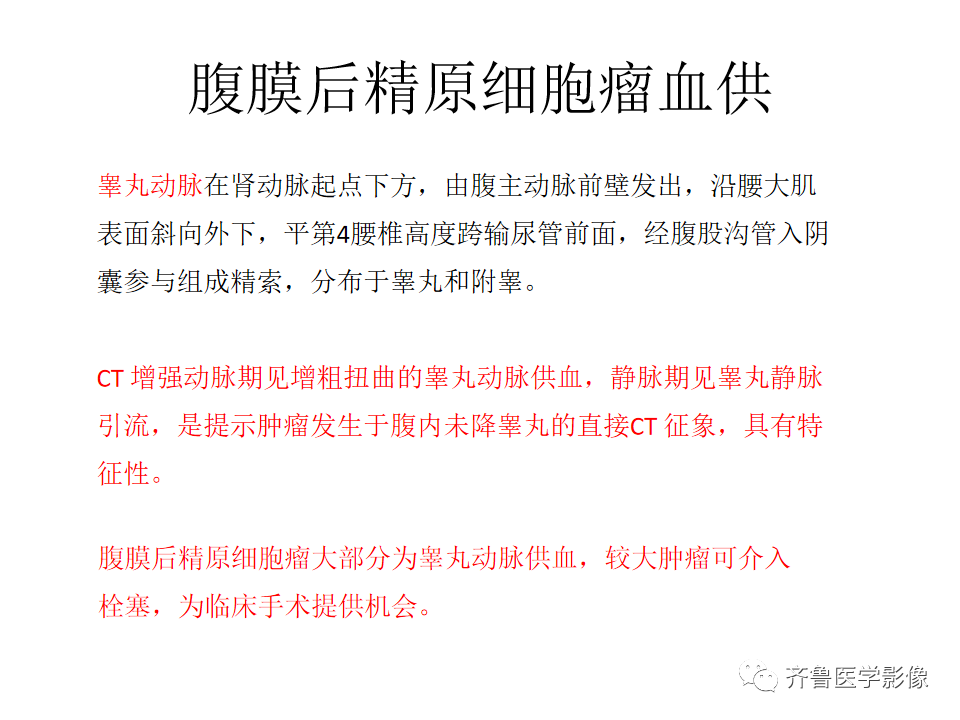 影像PPT - 【病例】腹膜后精原细胞瘤2例影像特征-24