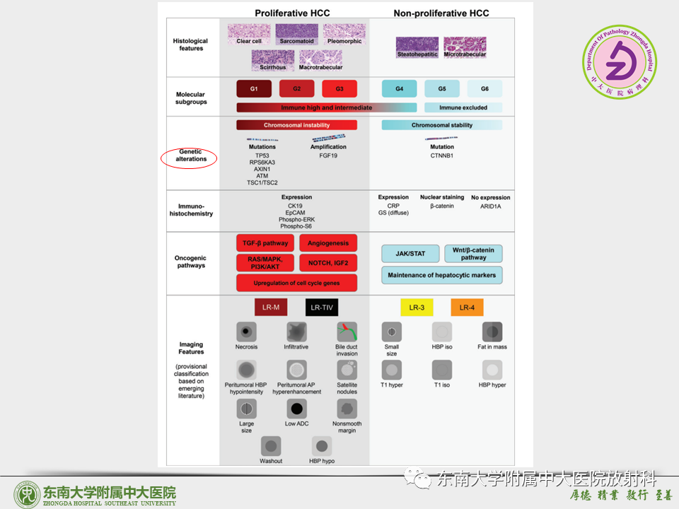 影像PPT - 【PPT】“理”“影”“外”合——肝细胞肝癌-35 影像PPT - 【PPT】“理”“影”“外”合——肝细胞肝癌-35