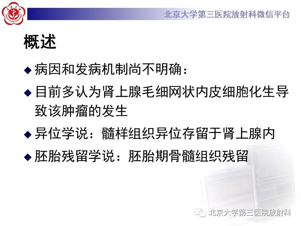 影像PPT - 【PPT】肾上腺髓样脂肪瘤-13
