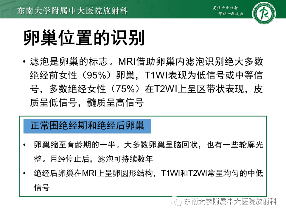 影像PPT - 【PPT】卵巢纤维卵泡膜细胞瘤-10