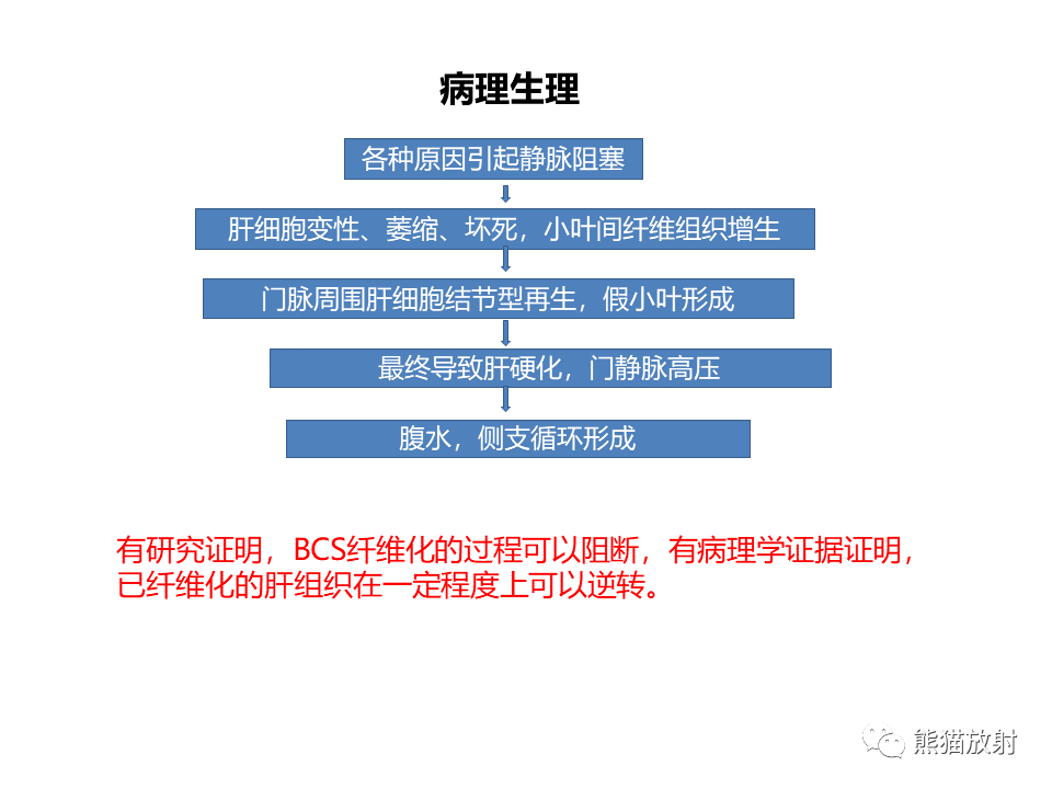 影像PPT - 【病例】布加综合征（肝静脉下腔静脉阻塞综合征）2例CT影像-24