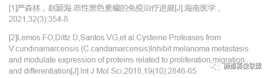 影像PPT - 【病例】一例黑色素瘤术后点晕状肺转移变化并文献学习-34 影像PPT - 【病例】一例黑色素瘤术后点晕状肺转移变化并文献学习-34