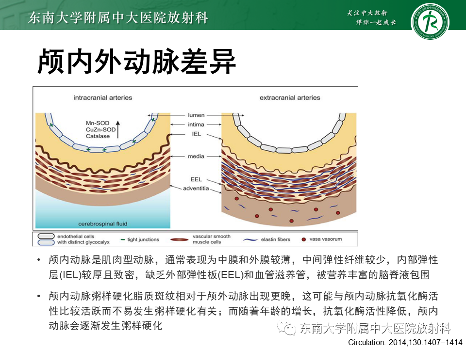 影像PPT - 【PPT】颅内外动脉狭窄的VWMRI诊断-10