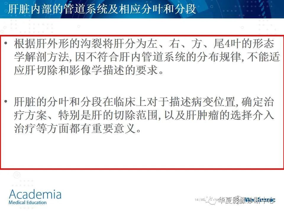 影像PPT - 【PPT】肝脏的基本解剖与分段-14