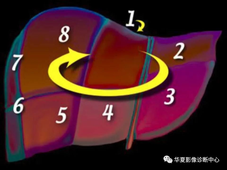 影像PPT - 【PPT】肝脏的基本解剖与分段-27