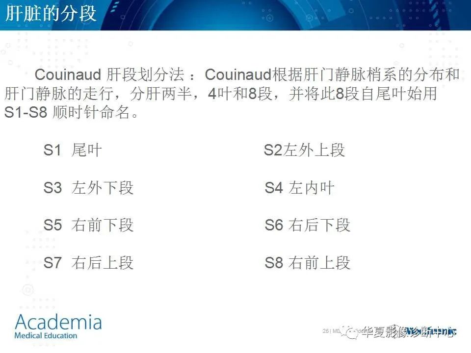 影像PPT - 【PPT】肝脏的基本解剖与分段-25