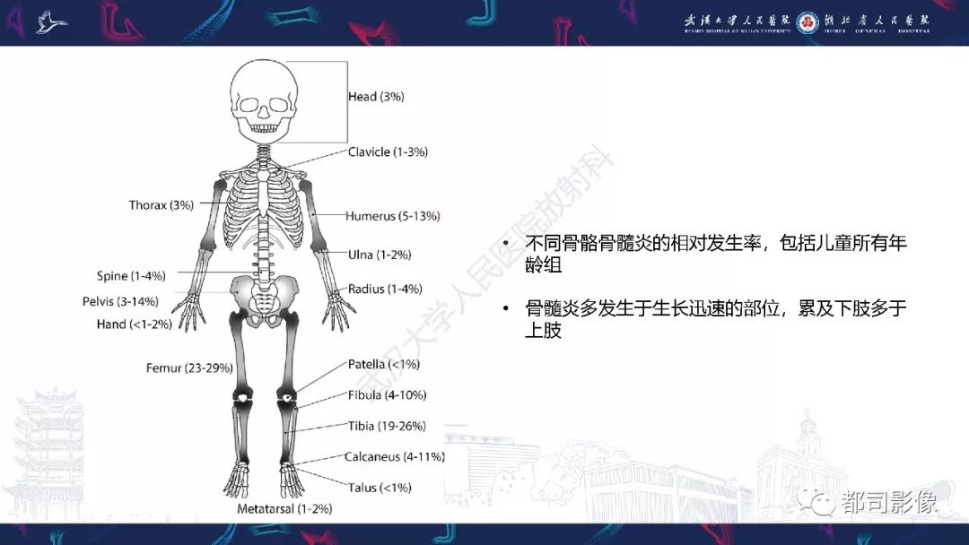 影像PPT - 【PPT】婴幼儿血源性骨髓炎-21