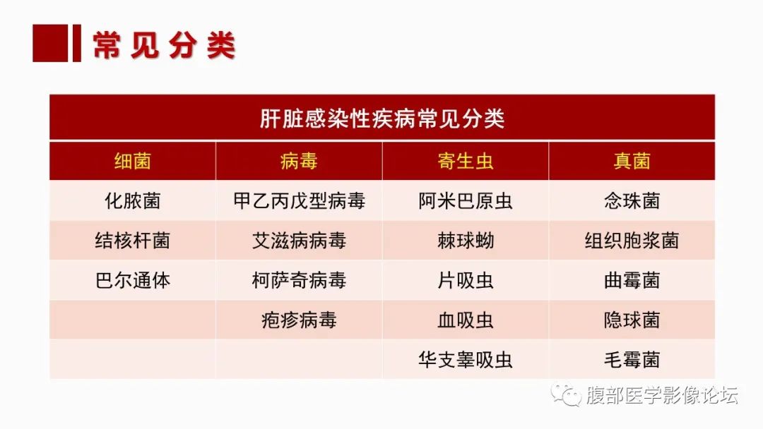 影像PPT - 【PPT】肝脏感染性疾病的多模态影像诊断及鉴别-7