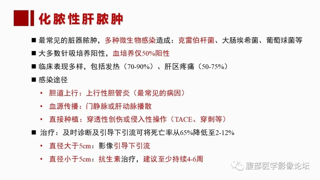 影像PPT - 【PPT】肝脏感染性疾病的多模态影像诊断及鉴别-10