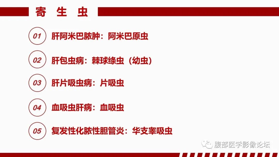 影像PPT - 【PPT】肝脏感染性疾病的多模态影像诊断及鉴别-45