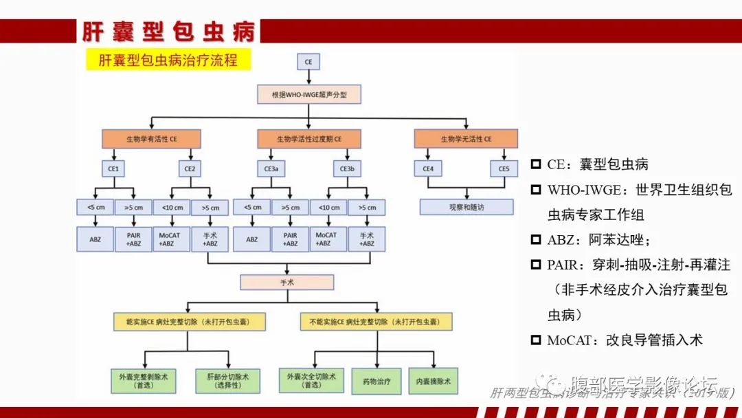 影像PPT - 【PPT】肝脏感染性疾病的多模态影像诊断及鉴别-59