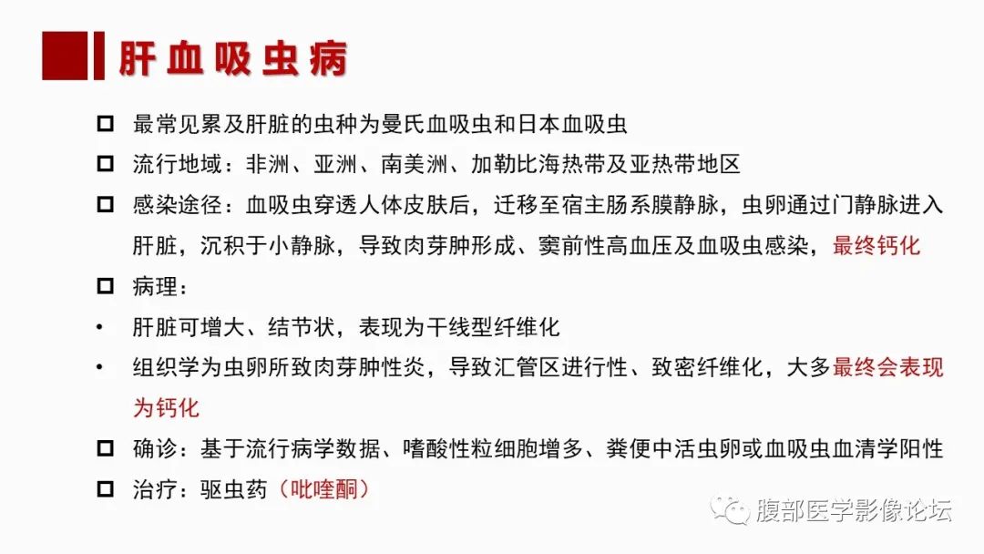 影像PPT - 【PPT】肝脏感染性疾病的多模态影像诊断及鉴别-70