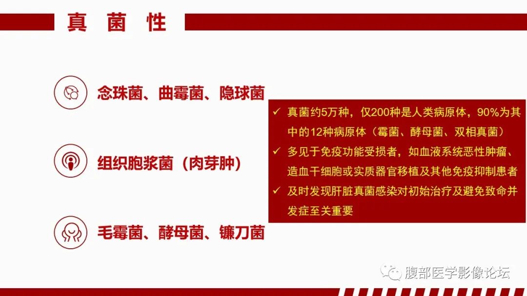 影像PPT - 【PPT】肝脏感染性疾病的多模态影像诊断及鉴别-76
