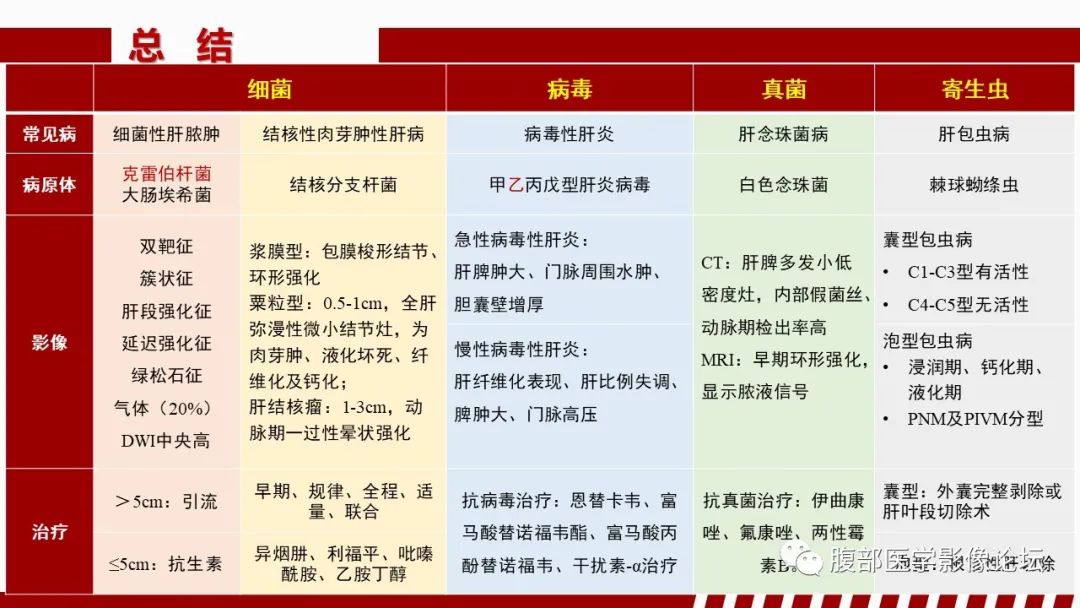影像PPT - 【PPT】肝脏感染性疾病的多模态影像诊断及鉴别-84