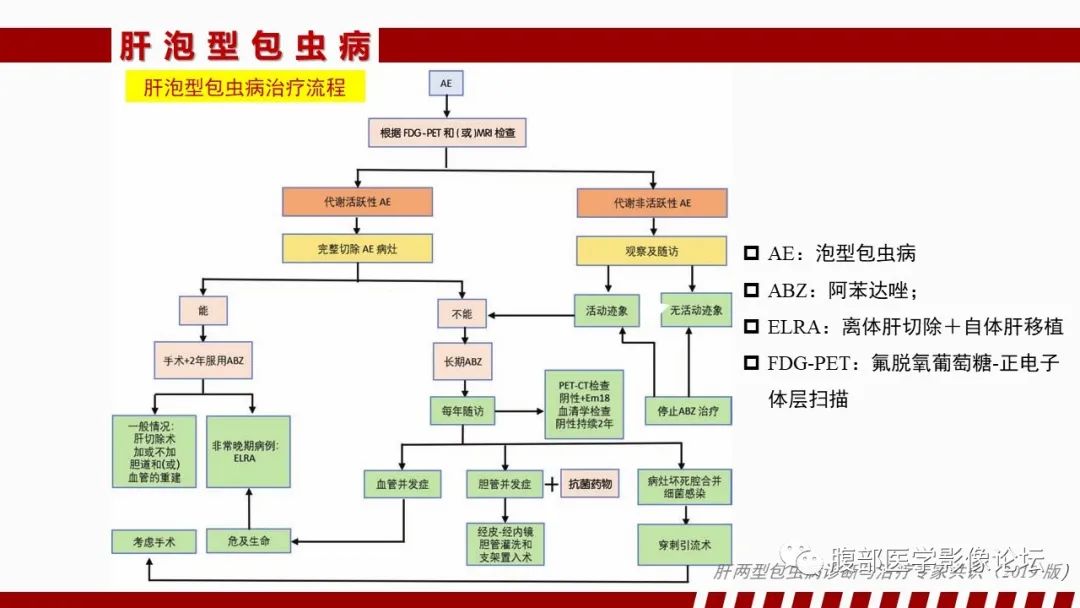 影像PPT - 【PPT】肝脏感染性疾病的多模态影像诊断及鉴别-65