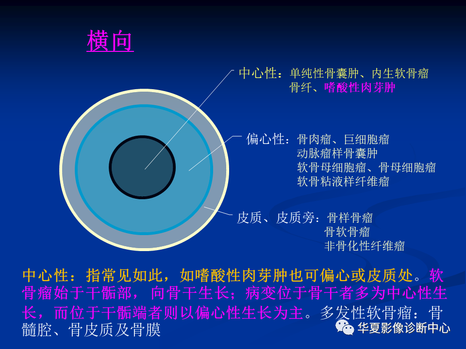 影像PPT - 【PPT】骨肿瘤影像诊断思路-28