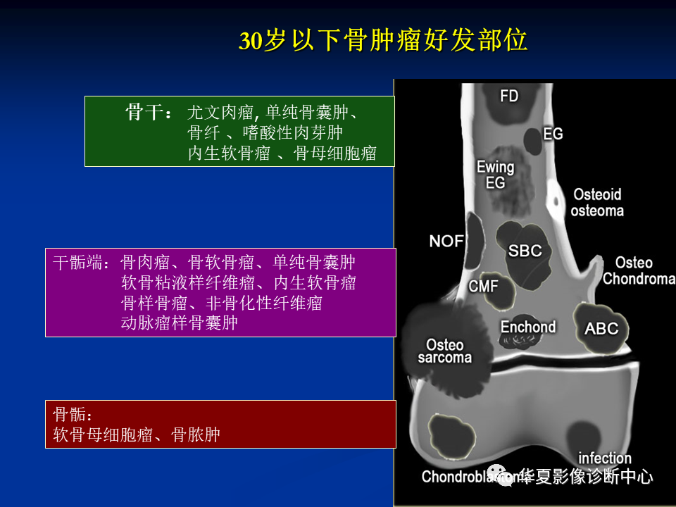 影像PPT - 【PPT】骨肿瘤影像诊断思路-37