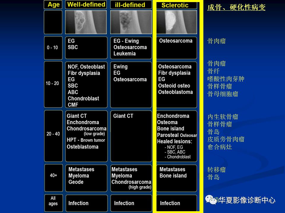 影像PPT - 【PPT】骨肿瘤影像诊断思路-63