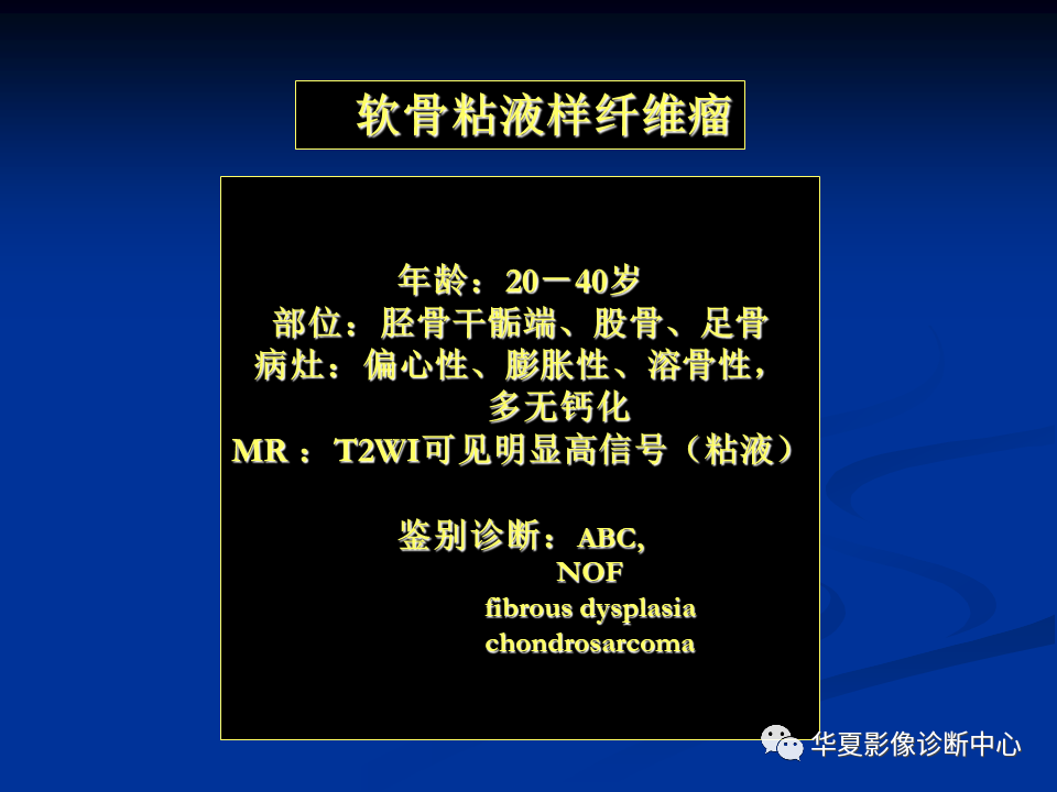 影像PPT - 【PPT】骨肿瘤影像诊断思路-142