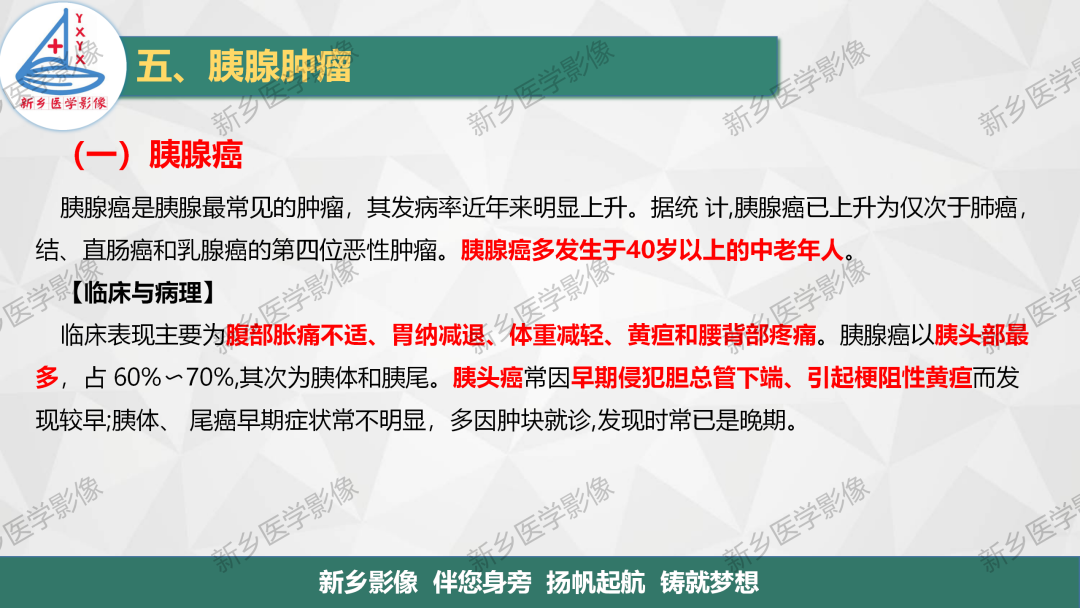 影像PPT - 【PPT】胰腺疾病影像表现-3