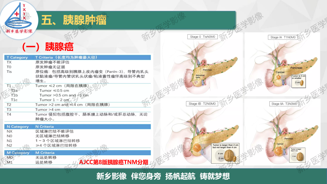 影像PPT - 【PPT】胰腺疾病影像表现-14