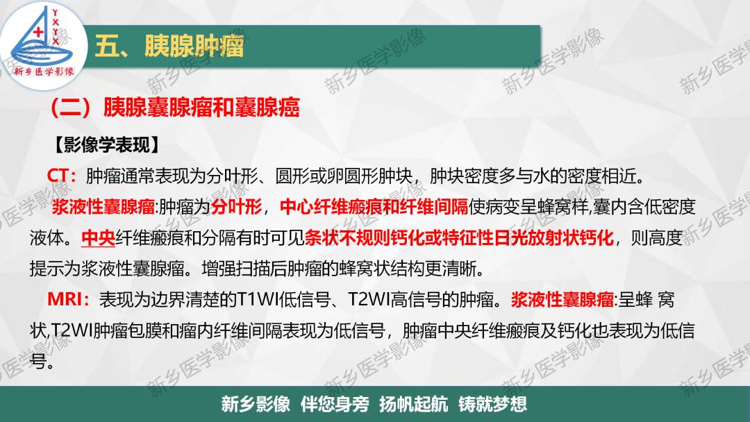 影像PPT - 【PPT】胰腺疾病影像表现-19