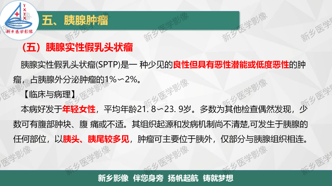 影像PPT - 【PPT】胰腺疾病影像表现-35