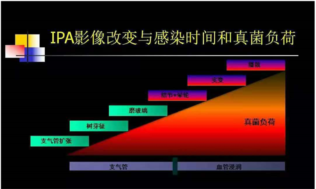 影像PPT - 肺曲菌病分型及 CT 表现-1 影像PPT - 肺曲菌病分型及 CT 表现-1