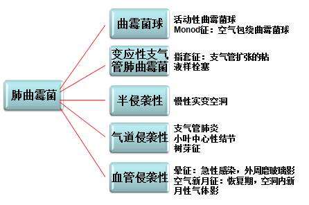 影像PPT - 肺曲菌病分型及 CT 表现-11 影像PPT - 肺曲菌病分型及 CT 表现-11