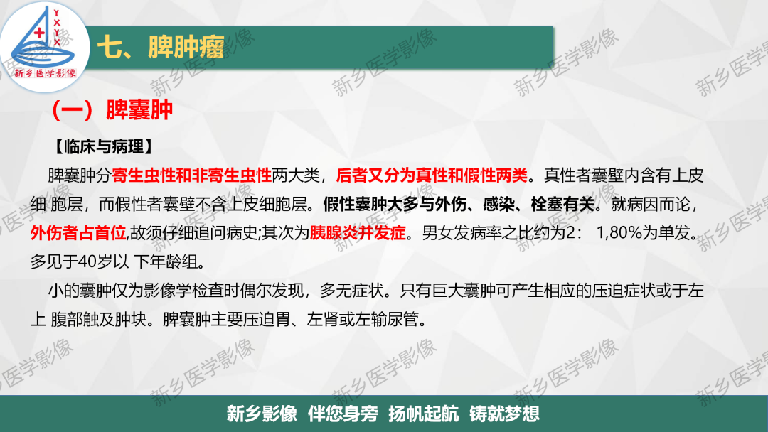 影像PPT - 【PPT】脾脏正常解剖及常见病变的影像表现-28