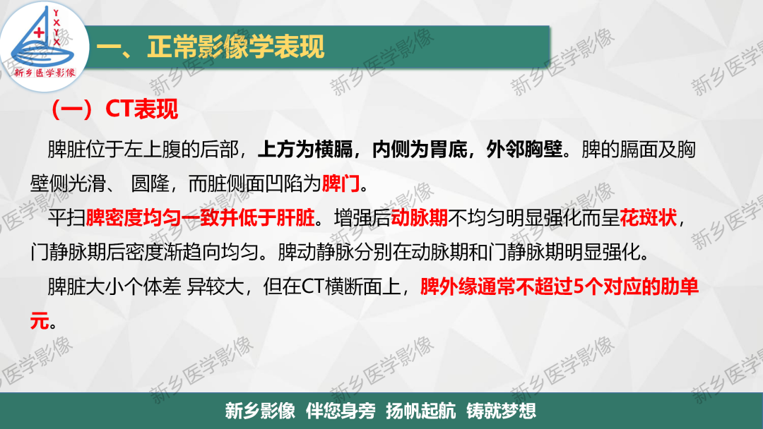 影像PPT - 【PPT】脾脏正常解剖及常见病变的影像表现-3