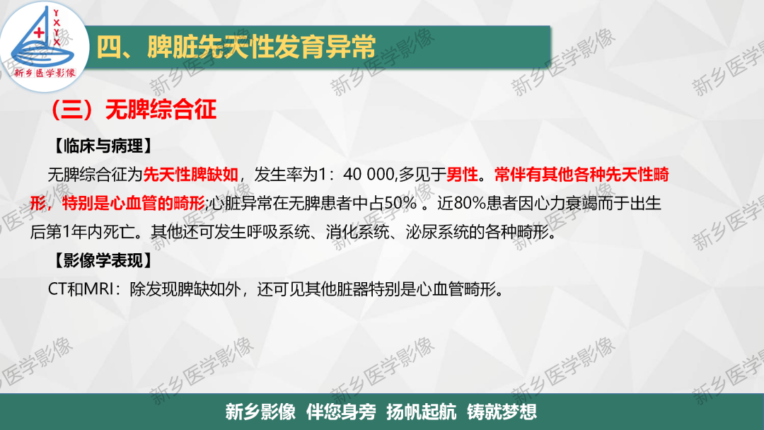 影像PPT - 【PPT】脾脏正常解剖及常见病变的影像表现-16