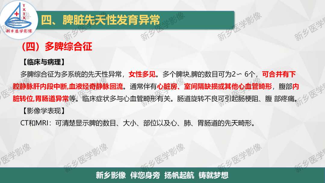 影像PPT - 【PPT】脾脏正常解剖及常见病变的影像表现-17
