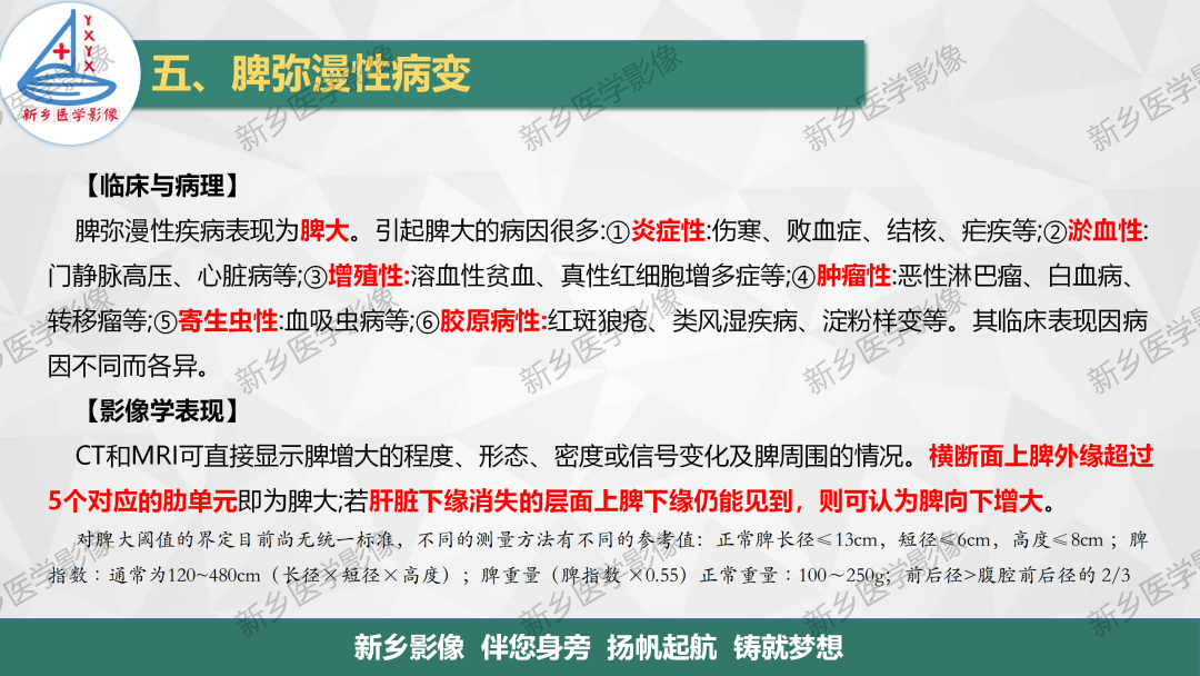 影像PPT - 【PPT】脾脏正常解剖及常见病变的影像表现-19