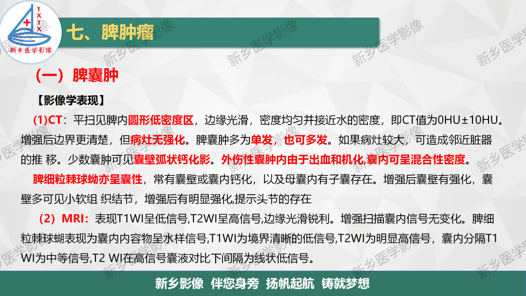 影像PPT - 【PPT】脾脏正常解剖及常见病变的影像表现-22