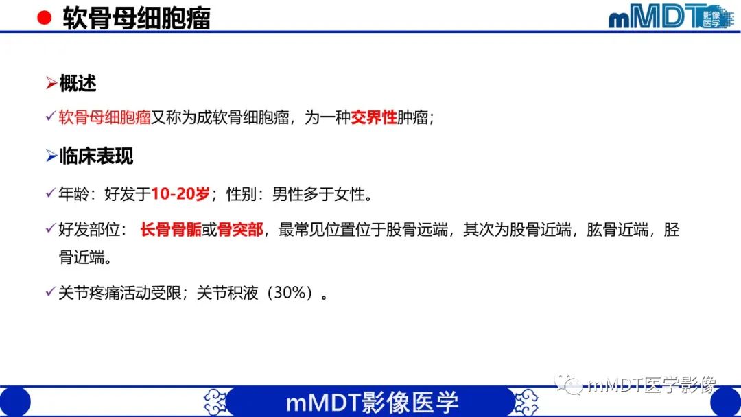影像PPT - 【PPT】髋关节疼痛影像与临床(二)-31 影像PPT - 【PPT】髋关节疼痛影像与临床(二)-31