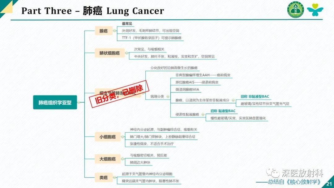 影像PPT - 【PPT】肺水肿、ICU影像及肺癌-21