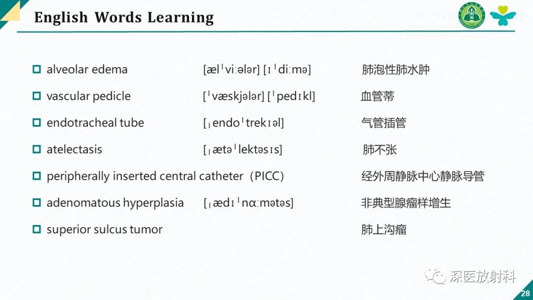 影像PPT - 【PPT】肺水肿、ICU影像及肺癌-28