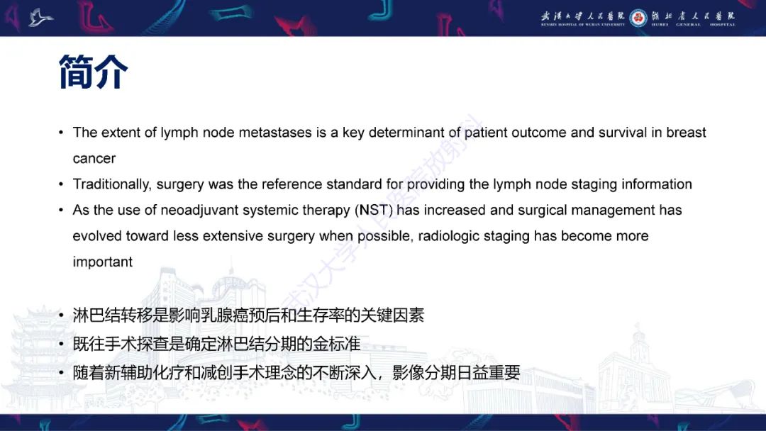 影像PPT - 【PPT】乳腺癌淋巴结影像评估-13