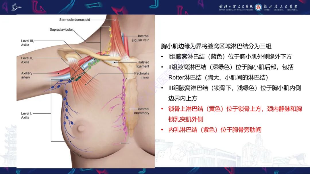 影像PPT - 【PPT】乳腺癌淋巴结影像评估-19