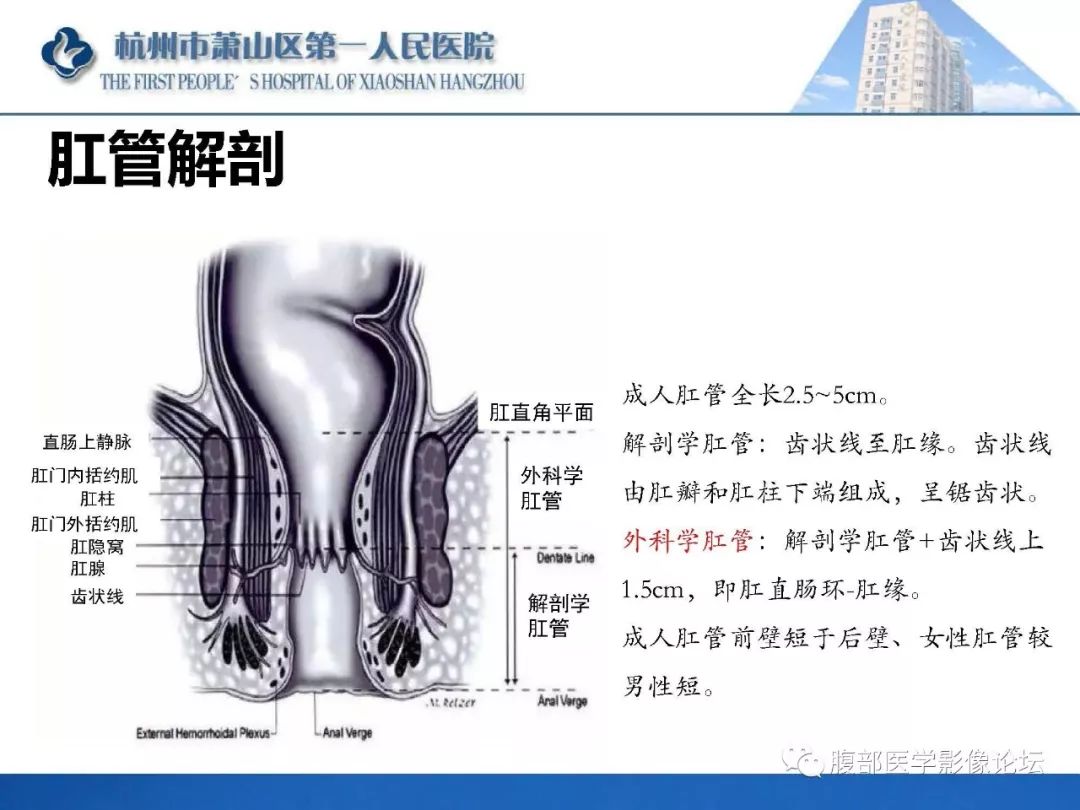 影像PPT - 【PPT】肛瘘MRI诊断-3 影像PPT - 【PPT】肛瘘MRI诊断-3