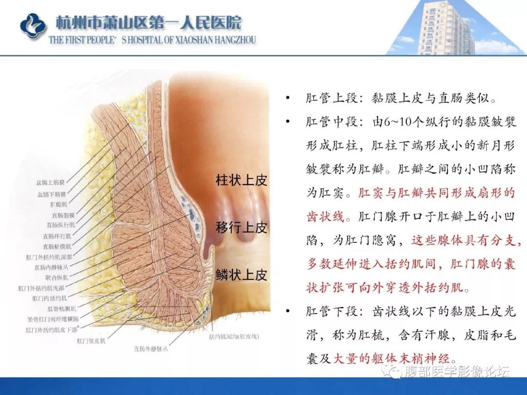 影像PPT - 【PPT】肛瘘MRI诊断-4 影像PPT - 【PPT】肛瘘MRI诊断-4