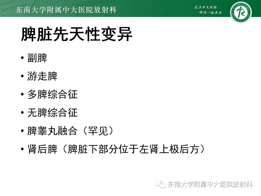 影像PPT - 【PPT】脾脏先天性变异-6