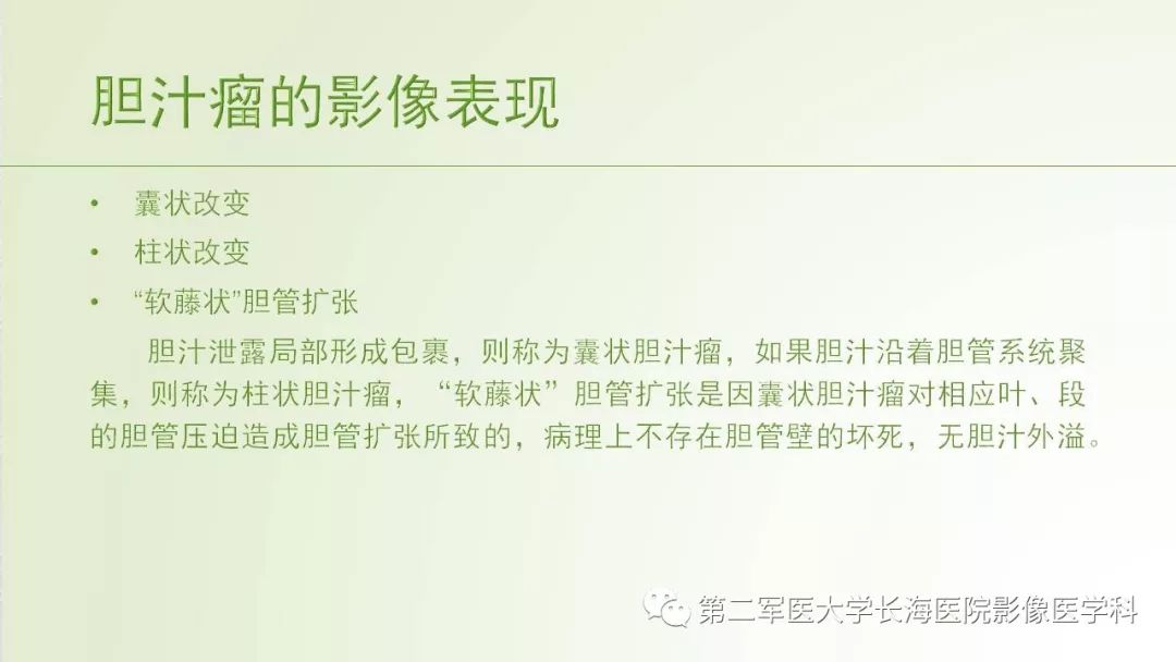 影像PPT - 【PPT】胆汁瘤的影像诊断与临床处理-38