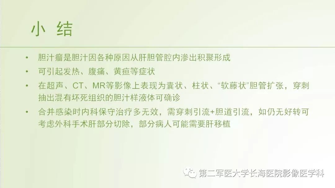 影像PPT - 【PPT】胆汁瘤的影像诊断与临床处理-20